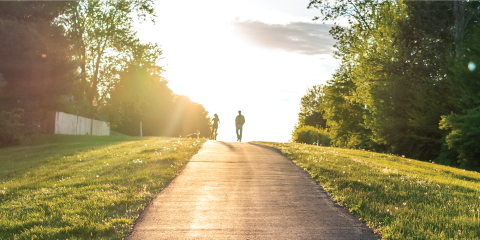 A couple walks their dog down a sunlit path with trees on either side